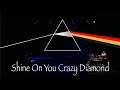 A pink floyd experience  shine on you crazy diamond
