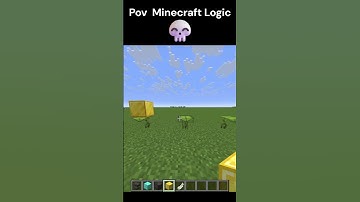 POV Minecraft Logic