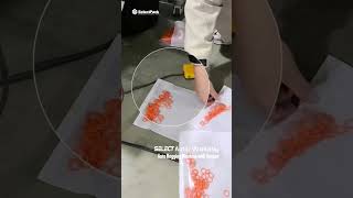 WALLABY Auto Bagger with Hopper | Packaging Orange Sealing Rings | SLP-DS02B/03B | SelectPack Profile