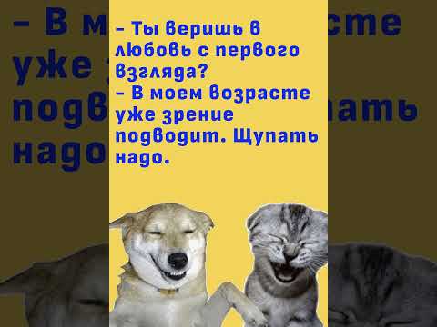 #юмор #шуточное #смешновидео #мем