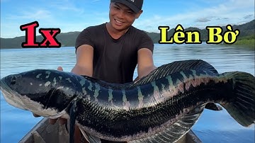 Truy Tìm Lóc Bông 2x ( tập 4 )