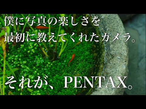 PENTAXは本当にいいカメラなんですよ。作例200枚超で魅力をおおいに