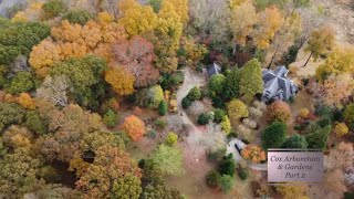 Cox Arboretum Garden Tour Part 2 | Conifers, Ginkgo, and Japanese Maples in the Garden | Canton, GA