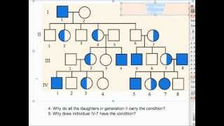 Pedigree 02 - X-linked.mp4