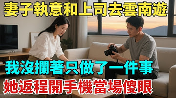 妻子執意要和男上司去雲南遊，我沒攔著只做了壹件事，她返程開手機當場傻眼！【奇聞紀實局】#奇聞#故事#故事頻道#故事分享#情感