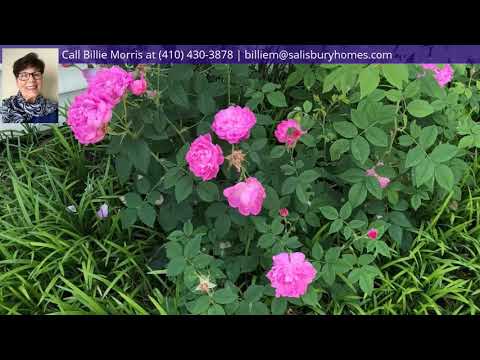 6442 QUANTICO ROAD, Quantico, MD home video tour