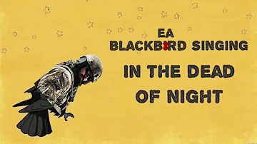 The Beatles - Blackbird parody (Blackbeard)