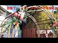[植物とDIY] 前庭☆設置☆ガーデンアーチを飾る‼️