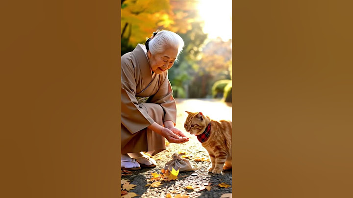 This CAT Helped an Old Woman – A Heartwarming Act of Kindness