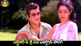 Thella Thella Cheeralu Video Song || Bobbili Puli || N T R, Sridevi || Sri Venkateshwara Movies