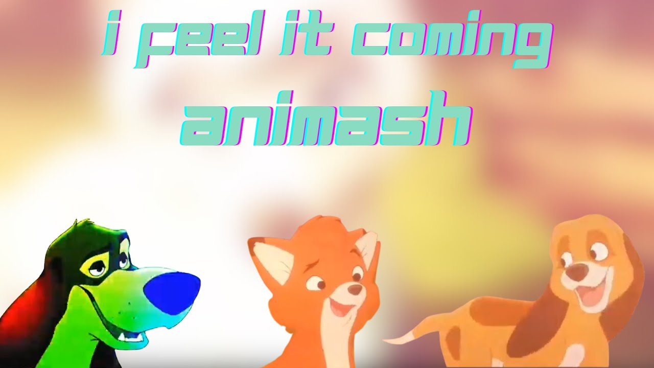 Animash ~ I Feel It Coming