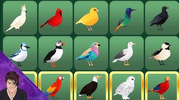All Birds Unlocked - It
