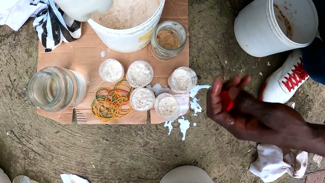 Cómo hacer micro gusano de avena desde cero#EnrriqueBettasTV#