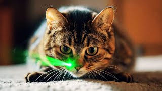 Top 30 Moments: Cats Vs Lasers🐾🚀Funny Pets Reaction to Laser Pointers 🌟🔫