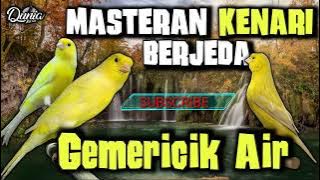 Masteran KENARI Dengan Gemericik Air BERJEDA