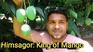 হমসগর আমর বগন থক সরসর কষকর উঠন