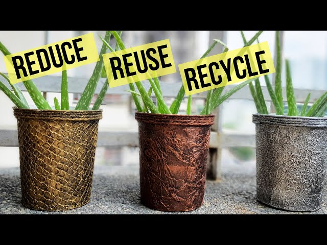 How to Recycle Yogurt Containers – RecycleNation