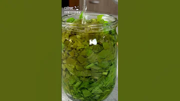 Лучший способ заготовки щавеля на зиму без соли и уксуса. Банки храню при комнатной температуре