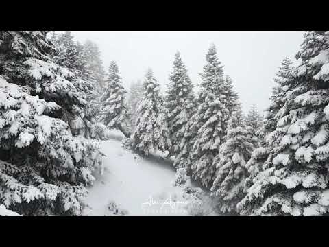 القموعة فنيدق غابة العذر عكار