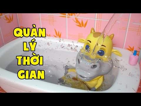 Video: Ham muốn thống trị