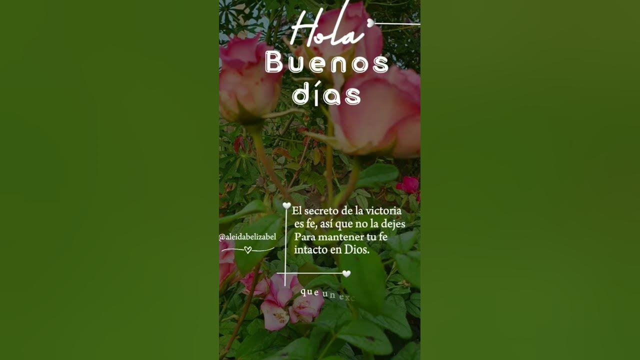 Buenos días #naturemusic #aicover #song #naturemusic #flores#live #jardines #beautiful #rose # rosas