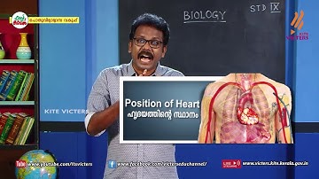 KITE VICTERS STD 09 Biology Class 14 (First Bell-ഫസ്റ്റ് ബെല്‍)