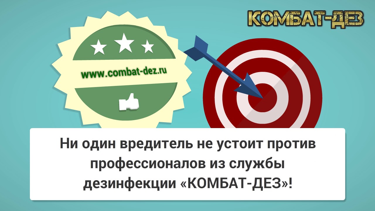 Уничтожение клопов и тараканов в квартире! Мы поможем избавиться от ...