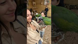 Дом попугаев 🦜😍