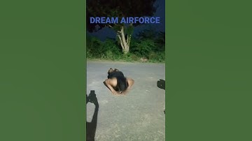 #viral #shorts #airforce push ups exercise video