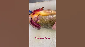 Линь рыба яркого вкуса.#cooking #рыба #линь