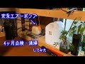 アクアリウム  安永AP-40Pの４ヶ月点検・清掃やってみました