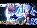 Get Your Tree to LV8 ASAP! (Genshin Impact Crimson Agate Guide)