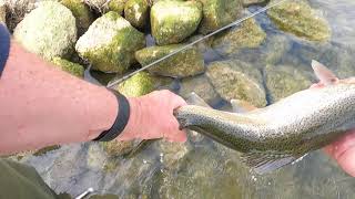Fly Fishing Rutland Water : Screaming Reels in Old Hall Bay (19-08-21) 4K