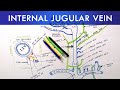Internal Jugular Vein | Anatomy Tutorial