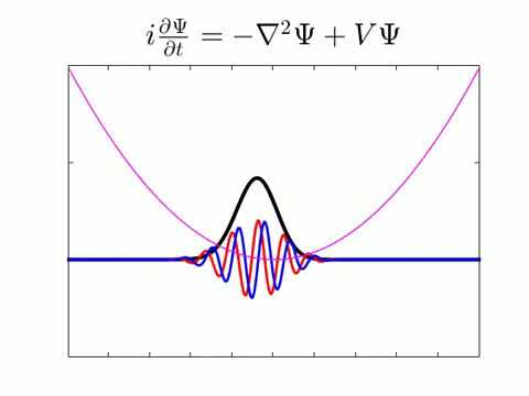 كيف تبدو الداله الموجيه