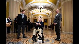 Mitch McConnell returns to Senate after months-long recovery