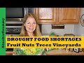 Drought Food Shortages What To Stockpile Now - Fruit Nut Trees Vineyards