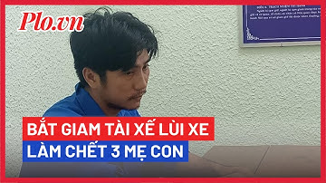 Công an bắt giam tài xế lùi xe trên Quốc lộ 1 làm 3 mẹ con tử vong - PLO