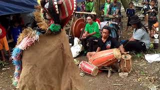 Kesenian Berokan dan Kuda Lumping