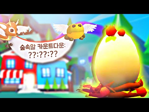 [로블록스] 입양하세요 이게 곧 시작된다!!