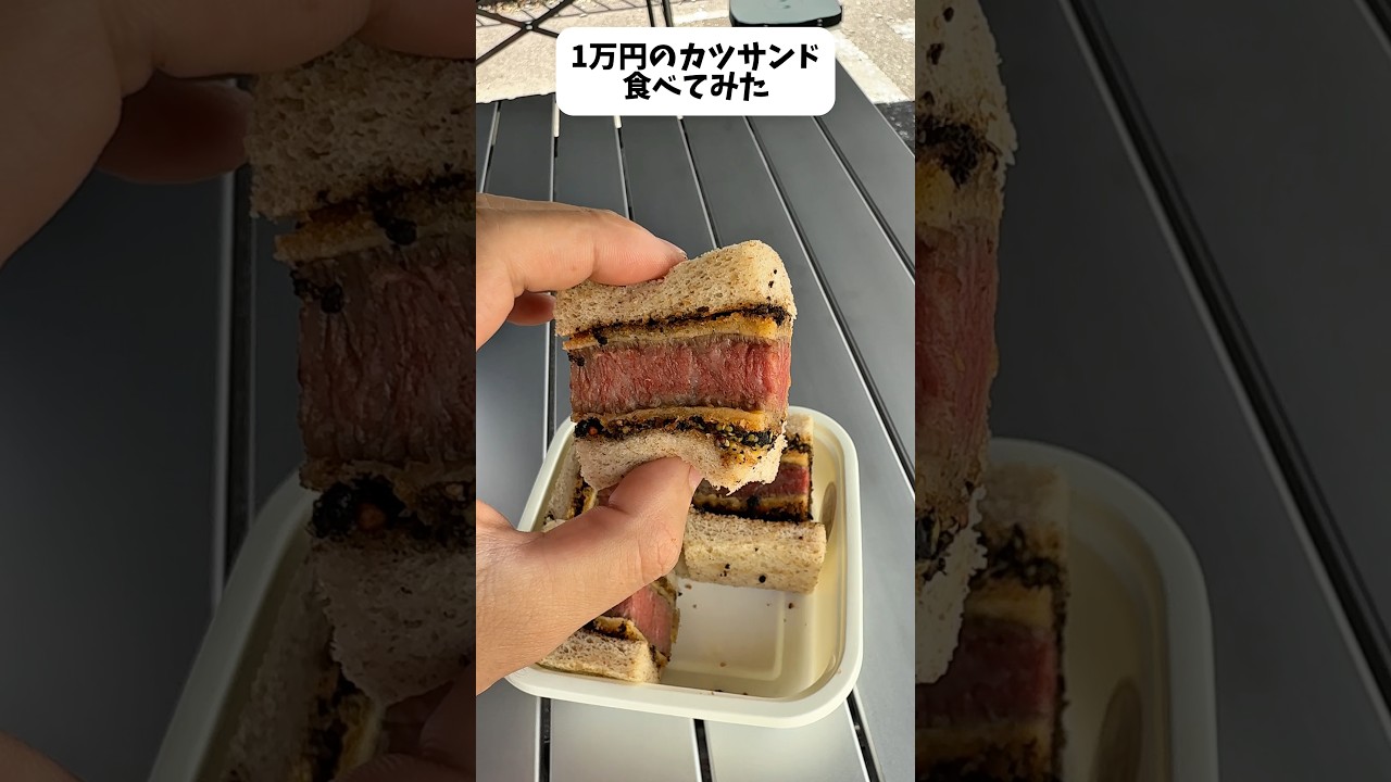 I Tried Eating a $100 Pork Cutlet Sandwich - YouTube