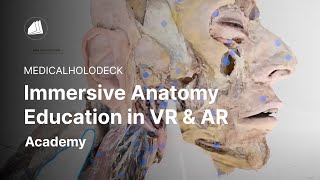 Study Human Anatomy on Mobile and in VR screenshot 5