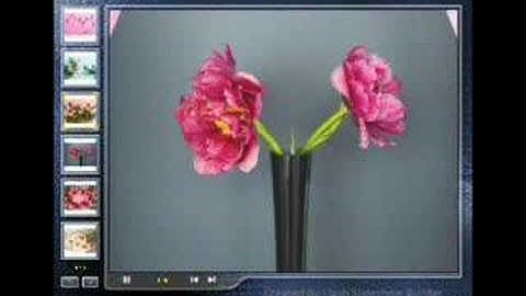 photo slideshow gallery