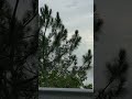 Monsoon