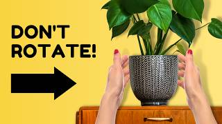 6 Outdated Plant Care Tips to Ditch in 2023