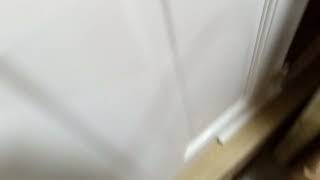 Gone Happening Freak Restless Wake Garbage The Bird Lips (Music Video)