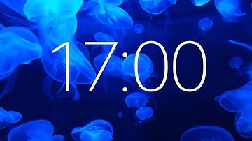 17 Minute Timer with Ambient Music and Jellifish