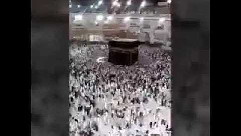 الشيخ عمر عبداللطيف العمرى سوره القيامه