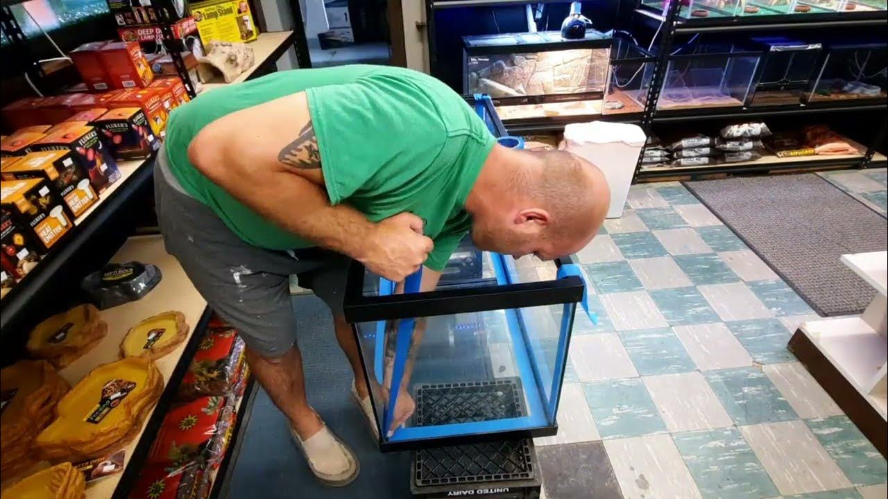 How to Reseal an Aquatic Aquarium Fishtank step by step...! YouTube