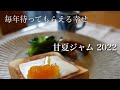 #6 この春も甘夏ジャム|苦くない、なめらか|作業の記録